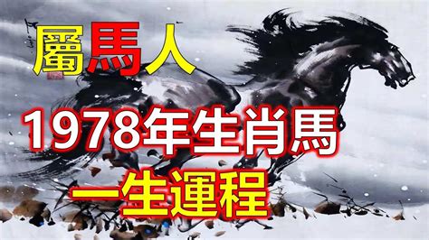 1978屬|【1978 屬什麼】1978屬馬的人注意了！42歲後運勢大。